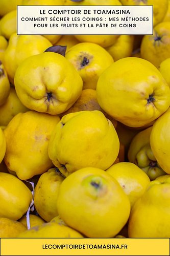 Comment sécher les coings : mes méthodes pour les fruits et la pâte de coing

Comment sécher les coings et la pâte de coing ?...