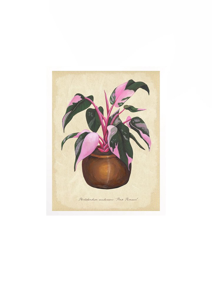 Philodendron 'Pink Princess' - Art Print product image (2)