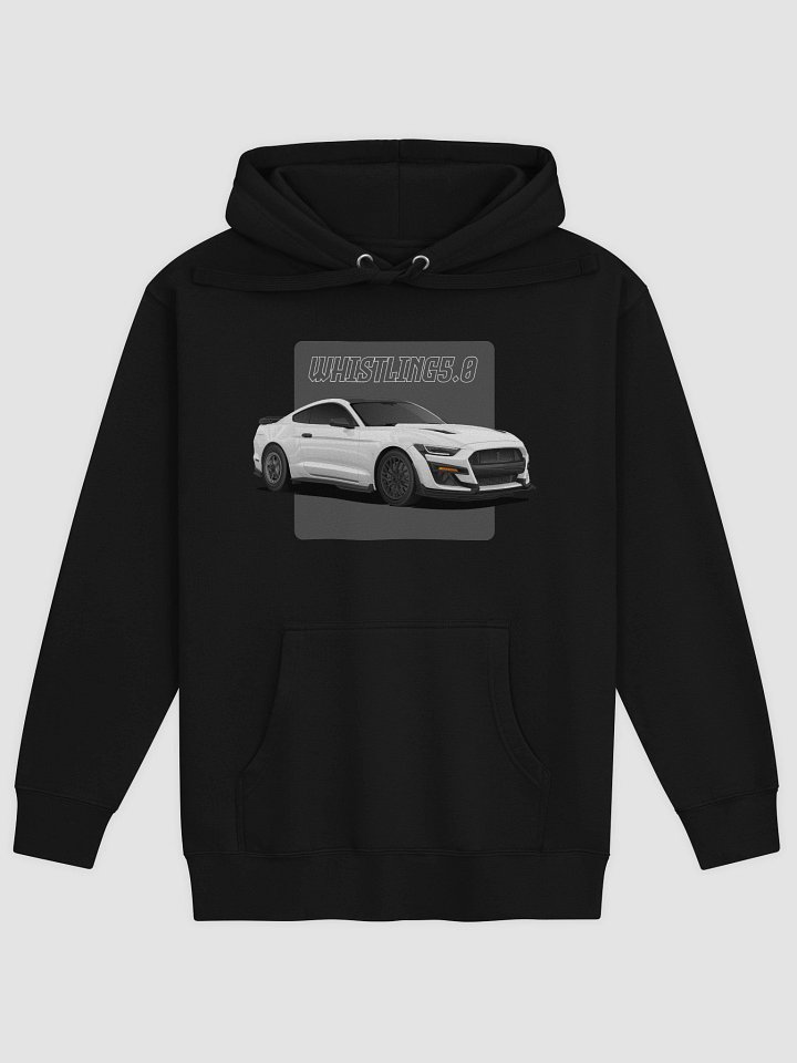 Hoodie - whistling5.0 product image (1)