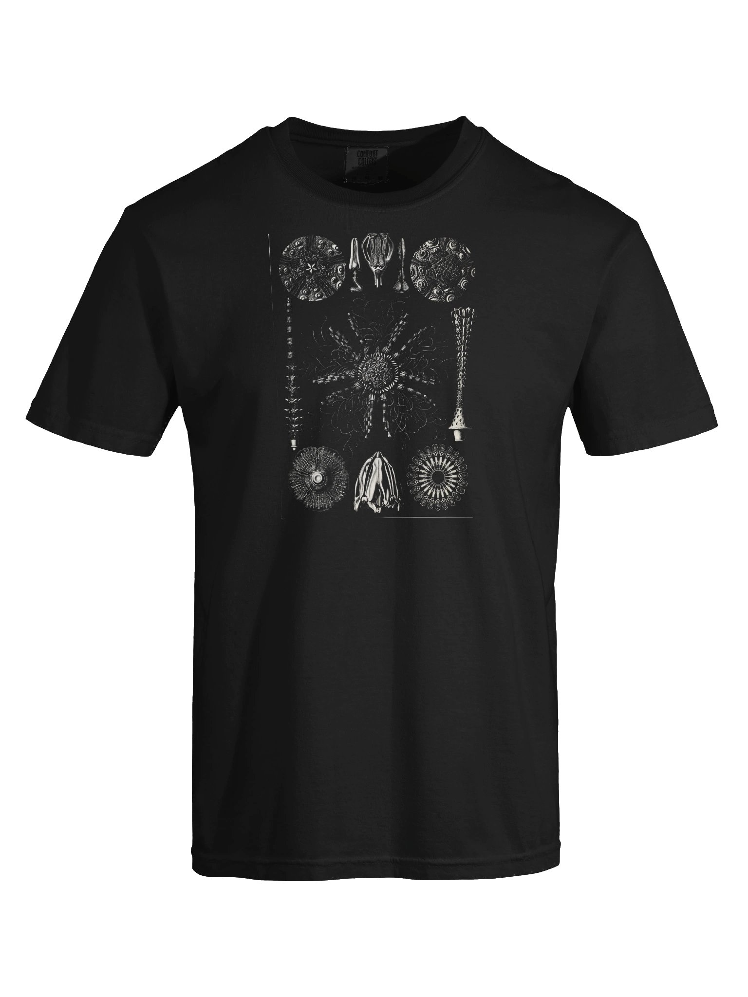 Sea Urchins Vintage Scientific Illustration T-Shirt product image (5)