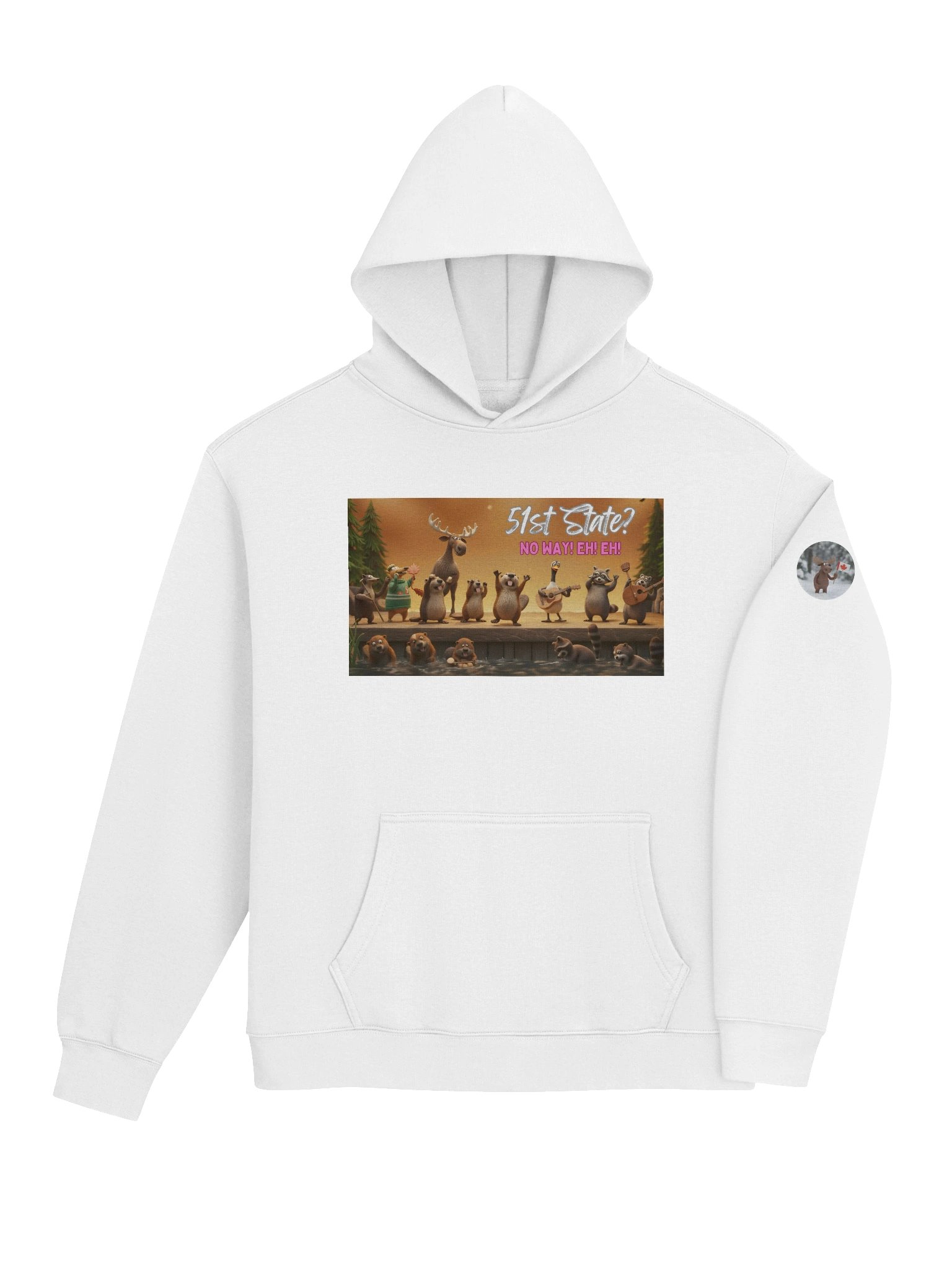 51st State? | Premium Oversized Character Hoodie product image (4)