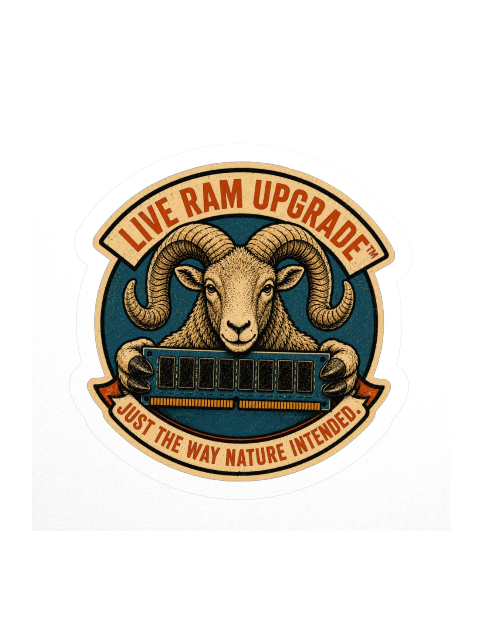Live RAM Upgrade product image (2)
