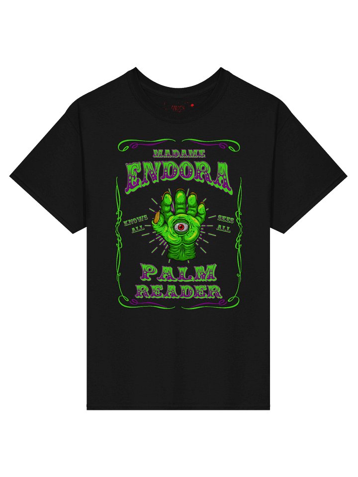MADAME ENDORA - PALM READER product image (1)