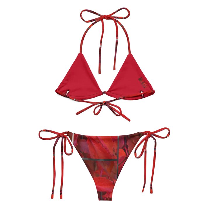 String Bikini: Vildvin Red Dreams product image (2)