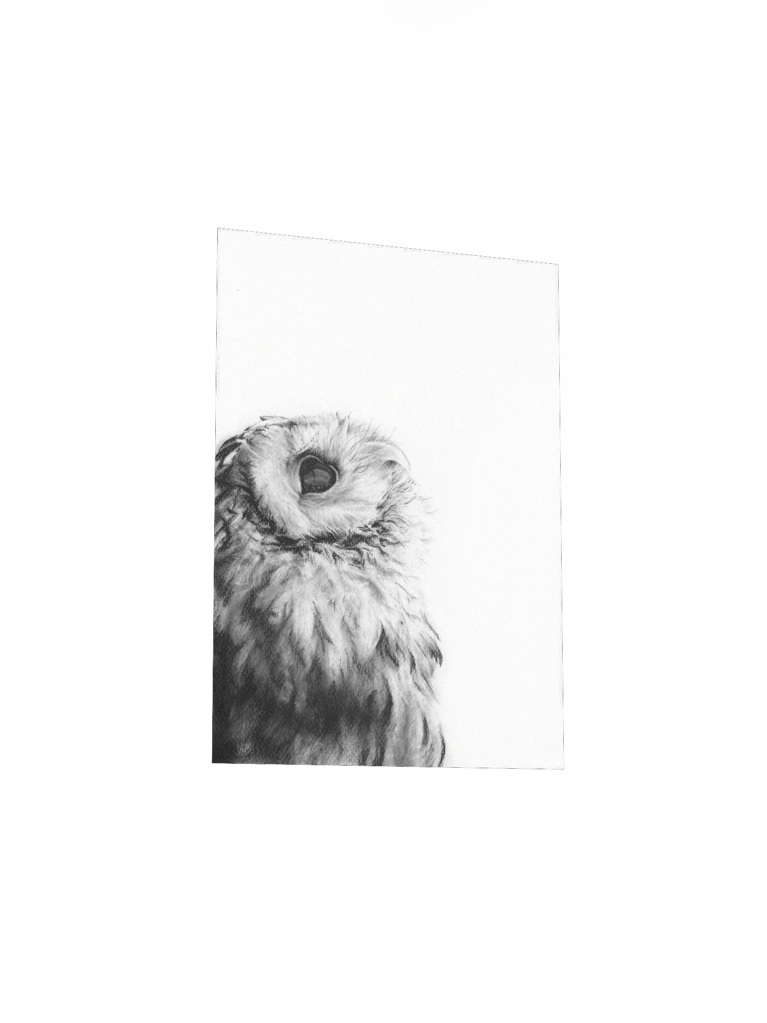 Archie - Matte Poster Print product image (3)