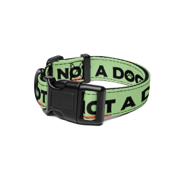 "I Am Not a Dog" Collar product image (1)