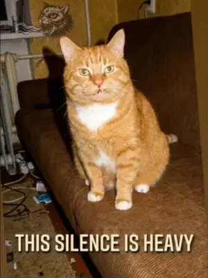 he wrote a whole song about feeling invisible and the cat has been doing it effortlessly for years track No one around by @sergius.3  #catsandmetal #numetal #alternativemetal #lyricvideo #catsoftiktok