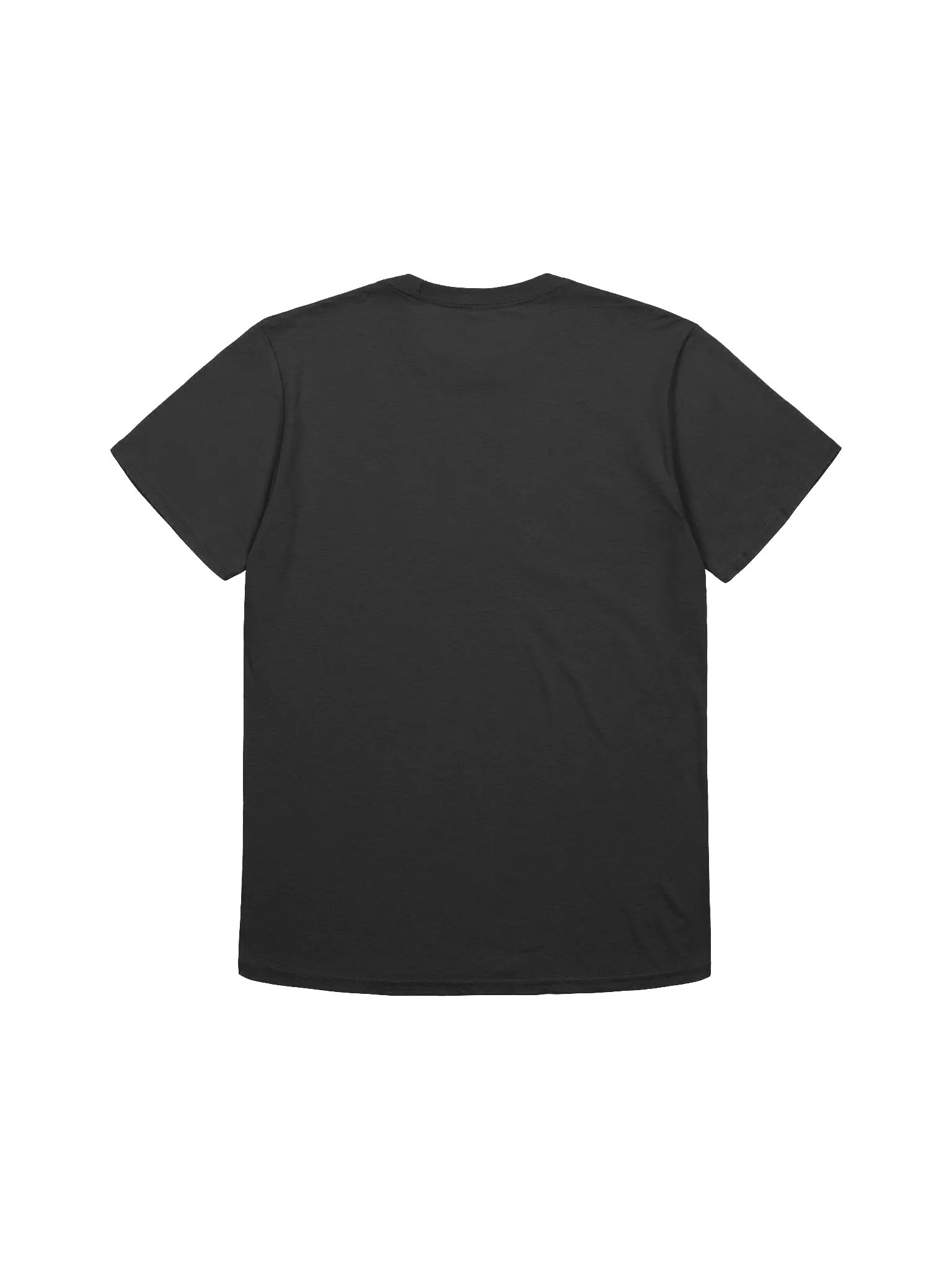 SMASH THE STATE T product image (6)