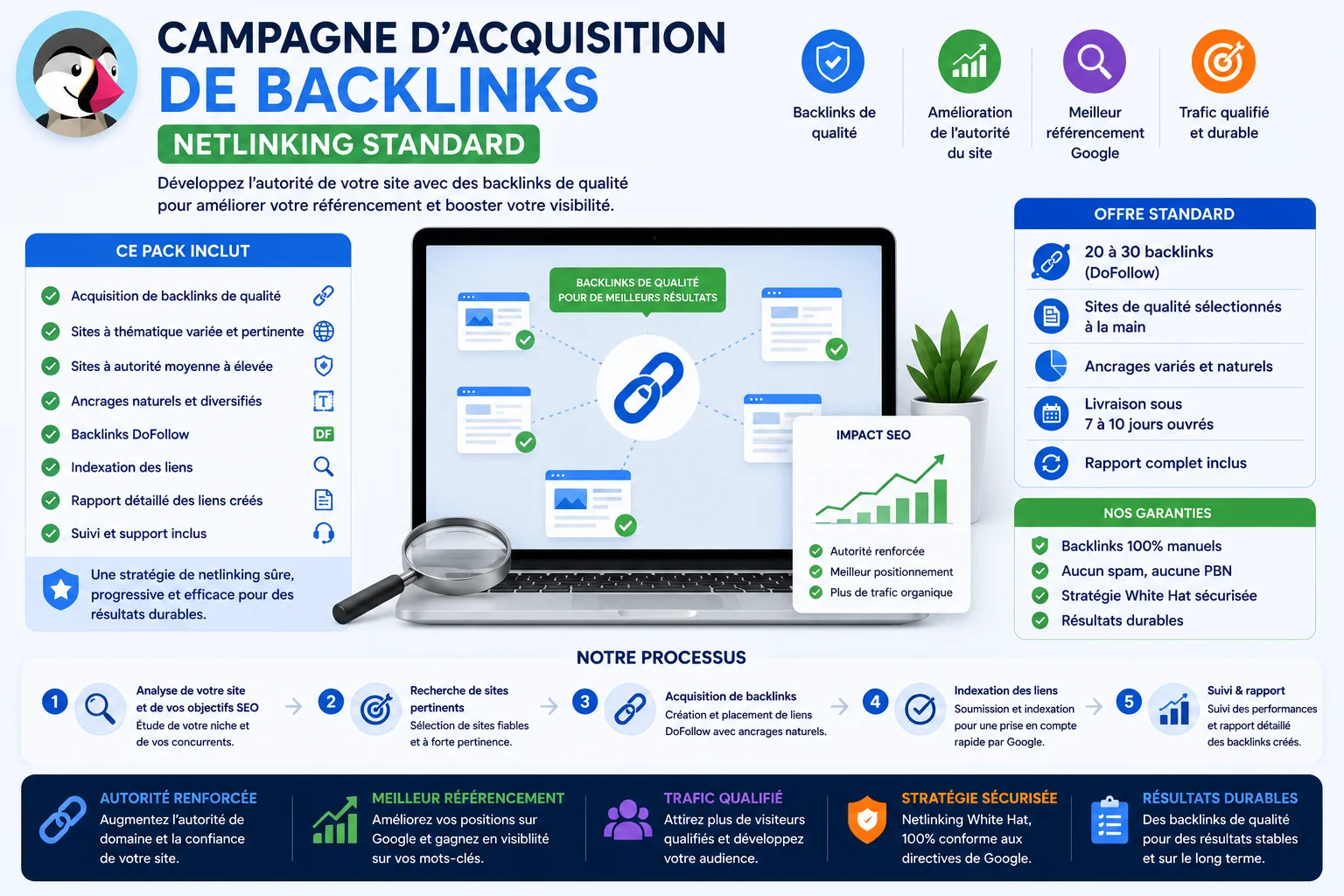 Campagne d'Acquisition de Backlinks (Netlinking Standard) product image (1)