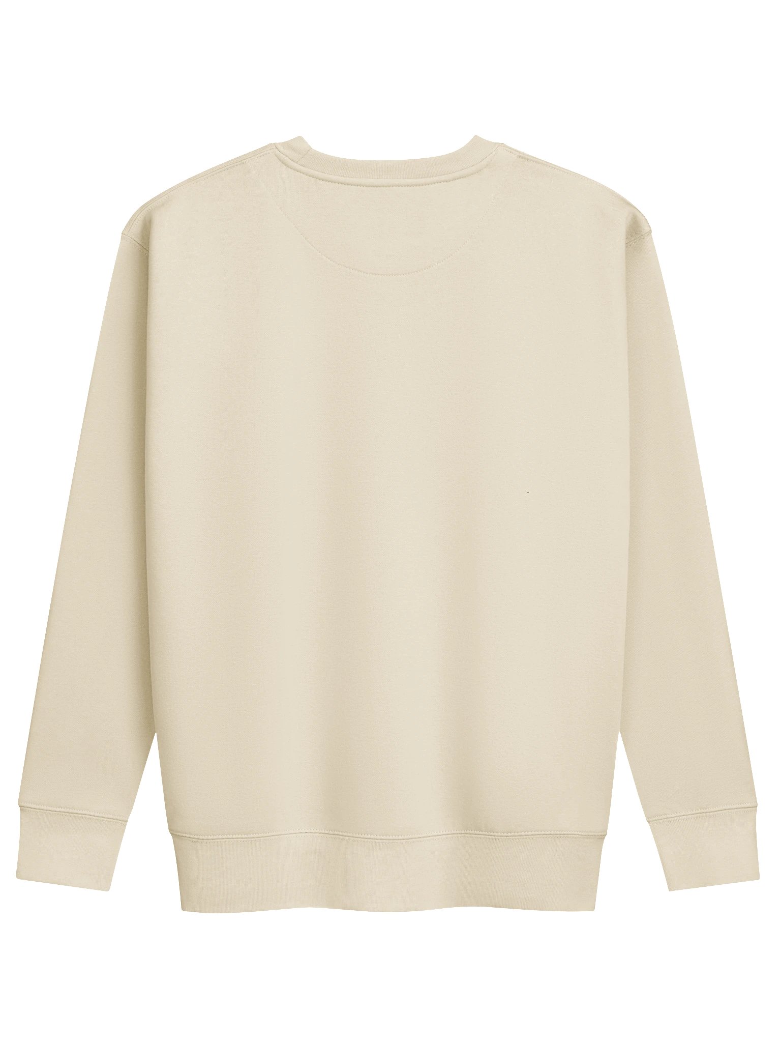 PISTE SOCIETY Mountain Panel Sweatshirt – Bone product image (2)