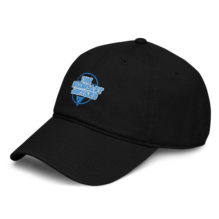 DCJY 20 Years Logo Hat product image (2)