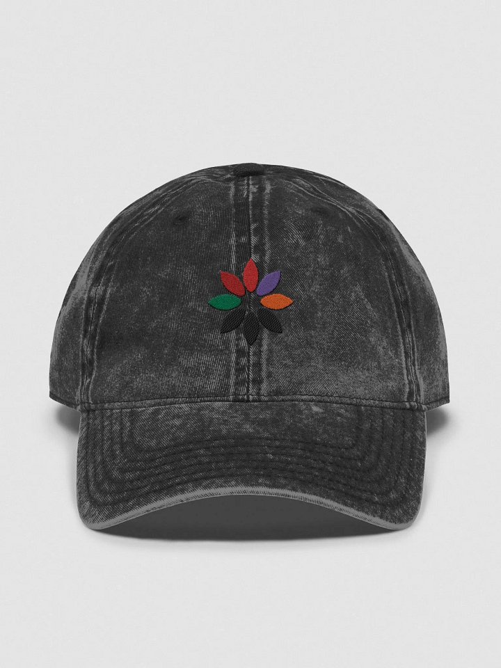 Erin_Grey Logo Washed Hat product image (2)