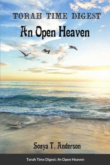 Torah Time Digest: An Open Heaven product image (1)