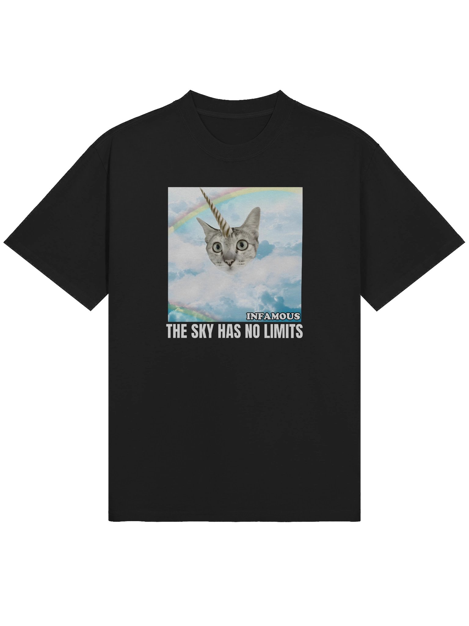 The Sky Has No Limits Oversized Tee - BLACK product image (3)