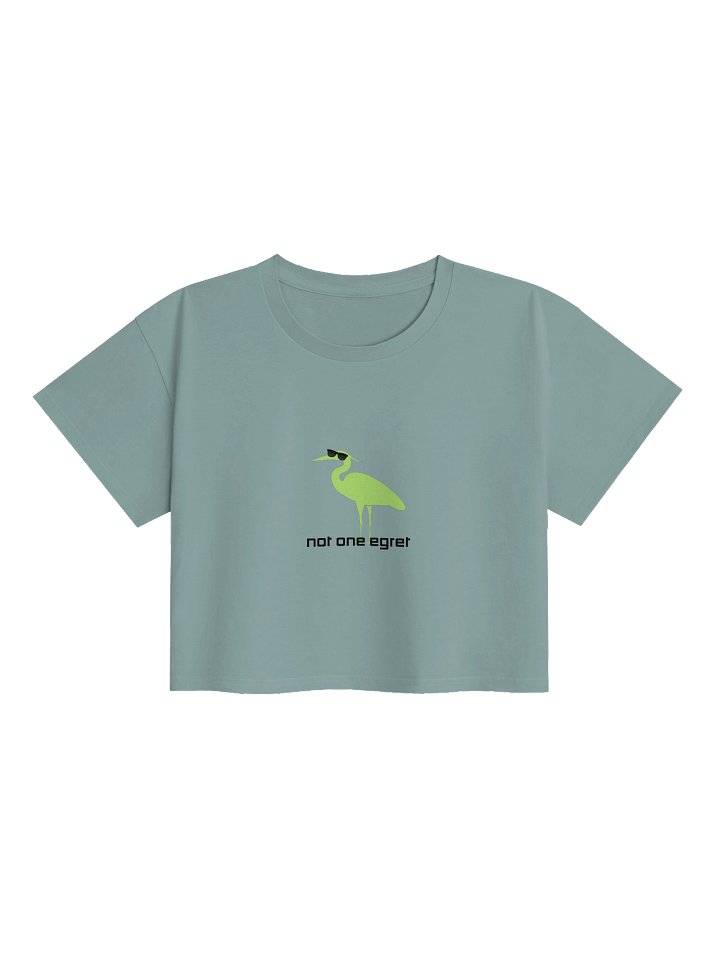 Not One Egret Crop Top product image (1)