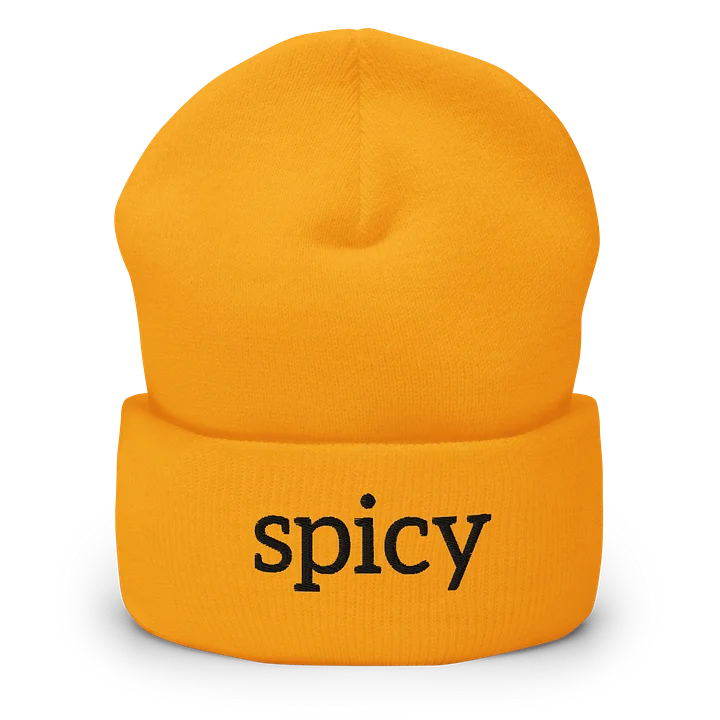 “Spicy” Cuffed Beanie (Black) product image (1)