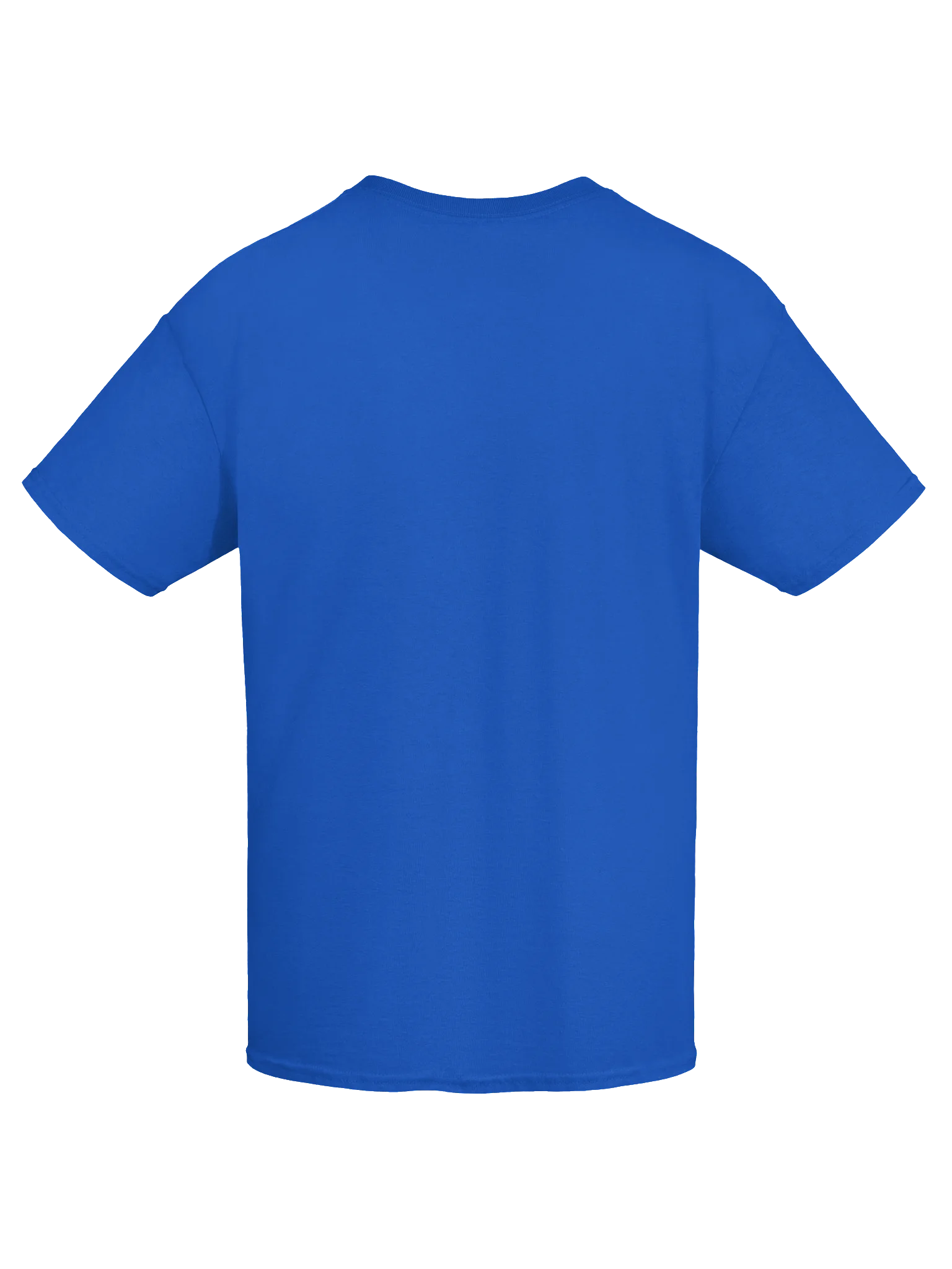 Going outside is highly overrated. Unisex Shirt product image (75)