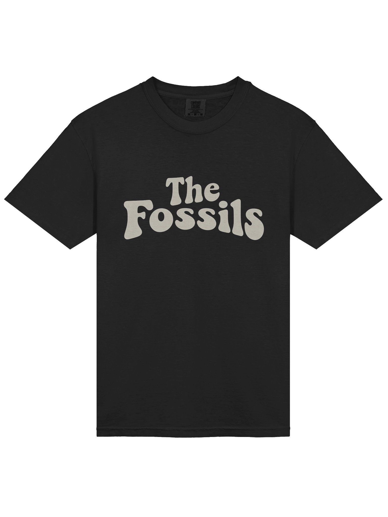 The Fossils Vintage Tee product image (3)