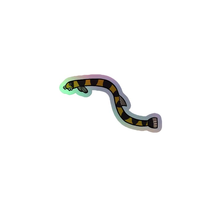 Kuhli Loach Holographic Sticker product image (1)