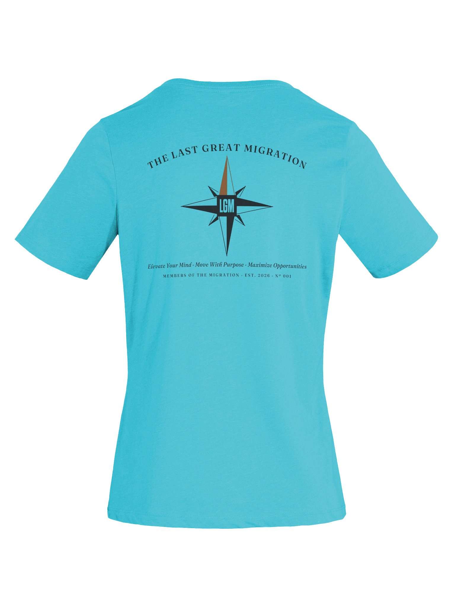 The Migration V Neck Ring Front (Women's) in Turquoise product image (7)