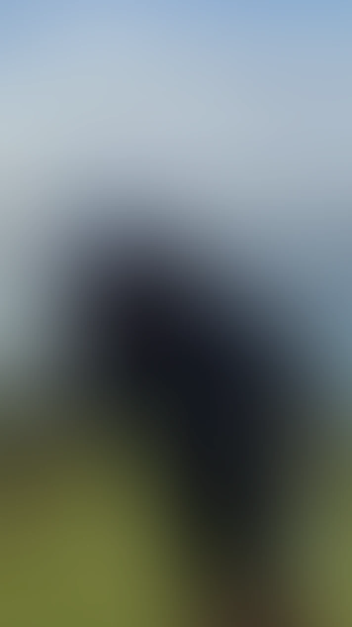 Video thumbnail background