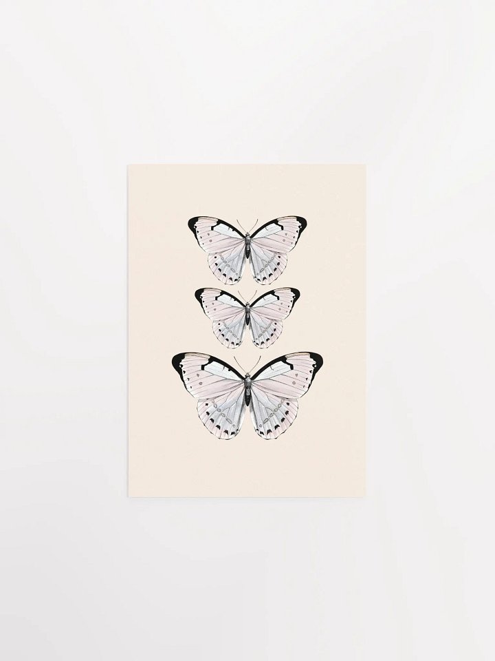 Butterfly Trio Matte Poster product image (5)