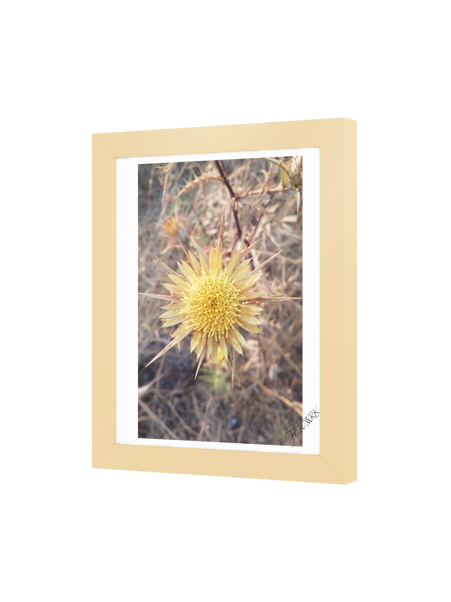 Thistle - Rustic Fine Art Botanical Matte Poster product image (4)