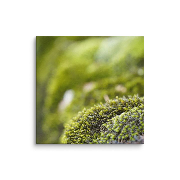 Moss Canvas product image (1)