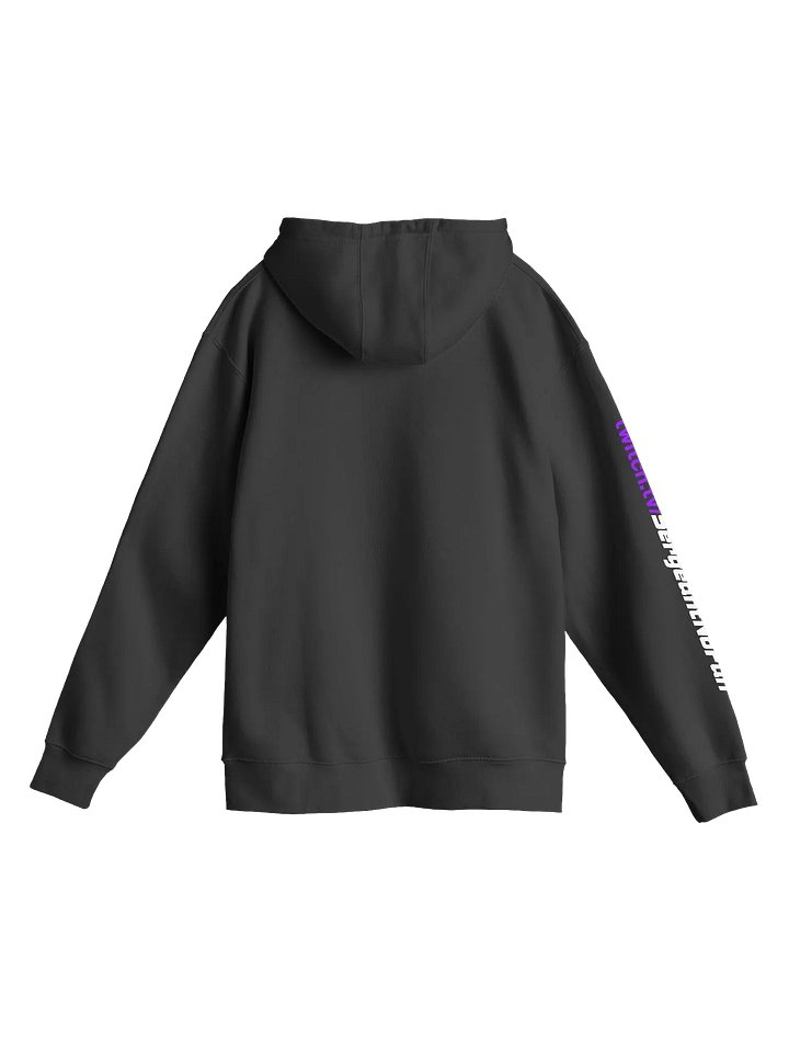 No Fun Hoodie product image (2)