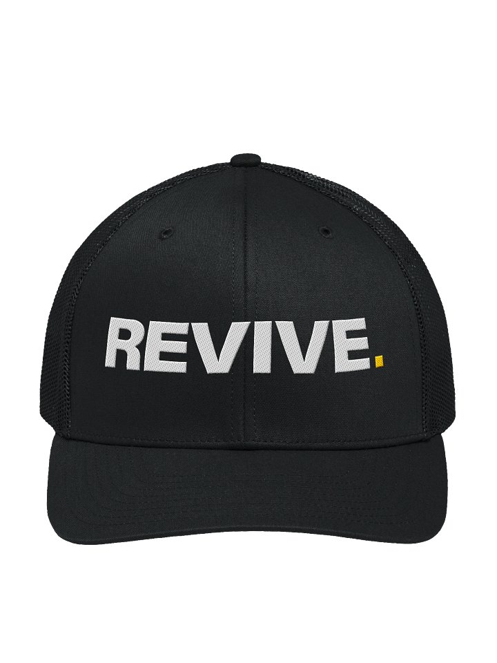 Revive Snapback product image (1)