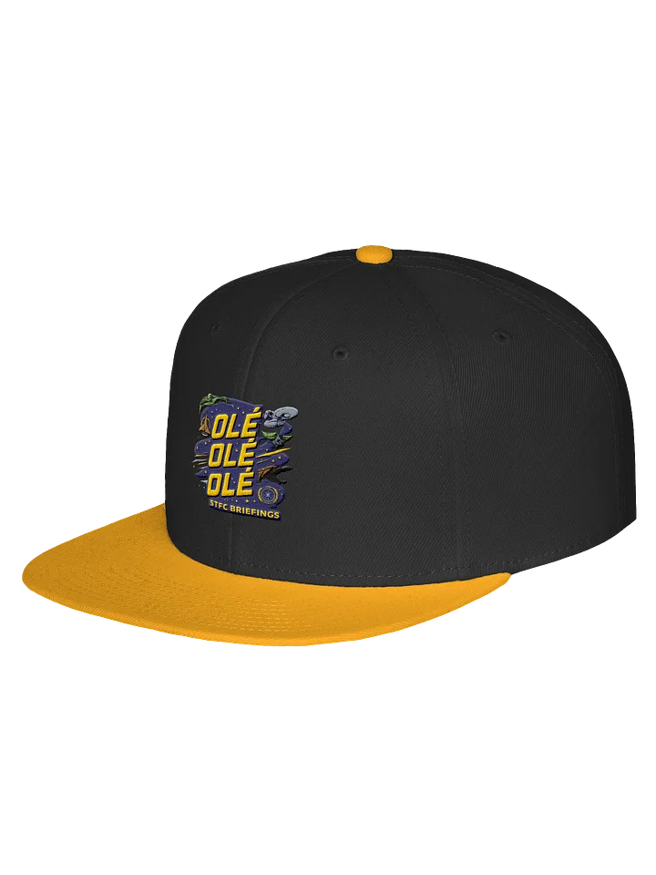 STFC Briefings Ole Ole Ole Collection Snap Back Cap product image (2)
