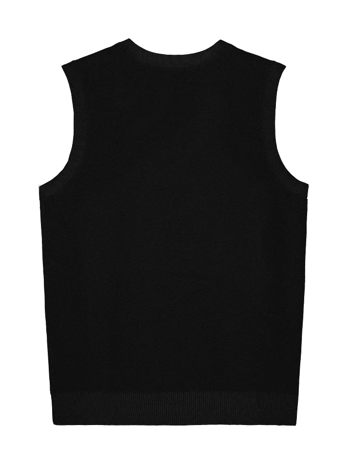 House 746 Luxury Knit Vest - Black product image (2)