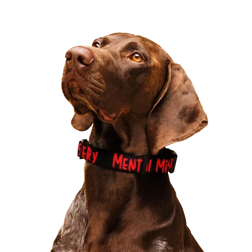 Mental Misery Dog Collar product image (2)