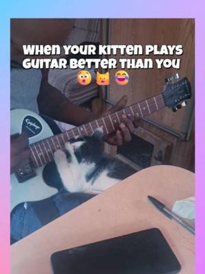 🎸🐱 KITTY PRODIGY ALERT 🐱🎸 YinYang out here shreddin’ like he’s on a world tour 😹🔥 If he snapped, drop a “Go head YinYang” in the comments 😁👇 #catplayingguitar #funnycat #catmusic #guitarkitty #viralcat #catcomedy #kittyjam #petvideos #animalreels #funnyreels #cutecats #musicalcats #catlover #trendingpets #viralreelsシ #yinyang