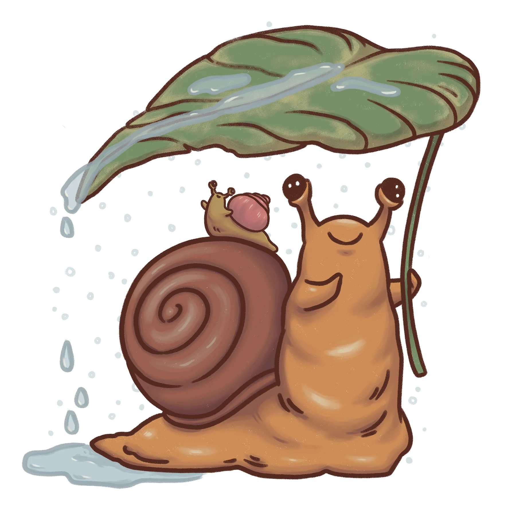 sticker : snail shelter product image (1)