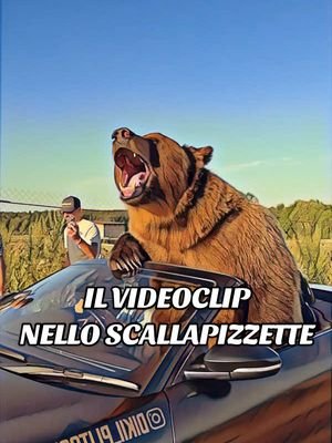 AGGIORGIO - Il videoclip nello scallapizzette 🐻 #doppiaggio #animali #roma #orso #orsi 