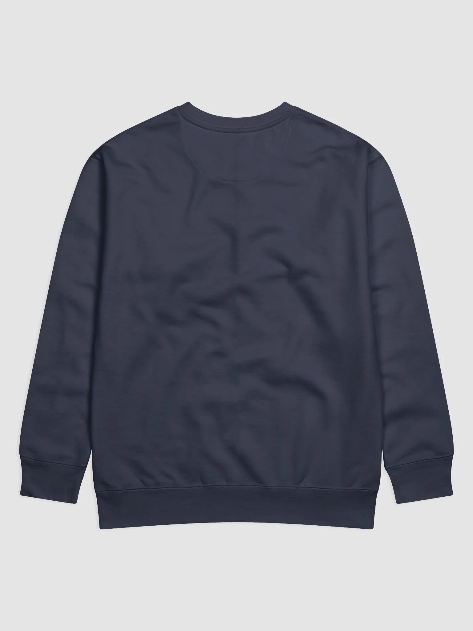 Bubbly and a B*tch (light blue design) Printed Premium Cotton Crewneck product image (18)
