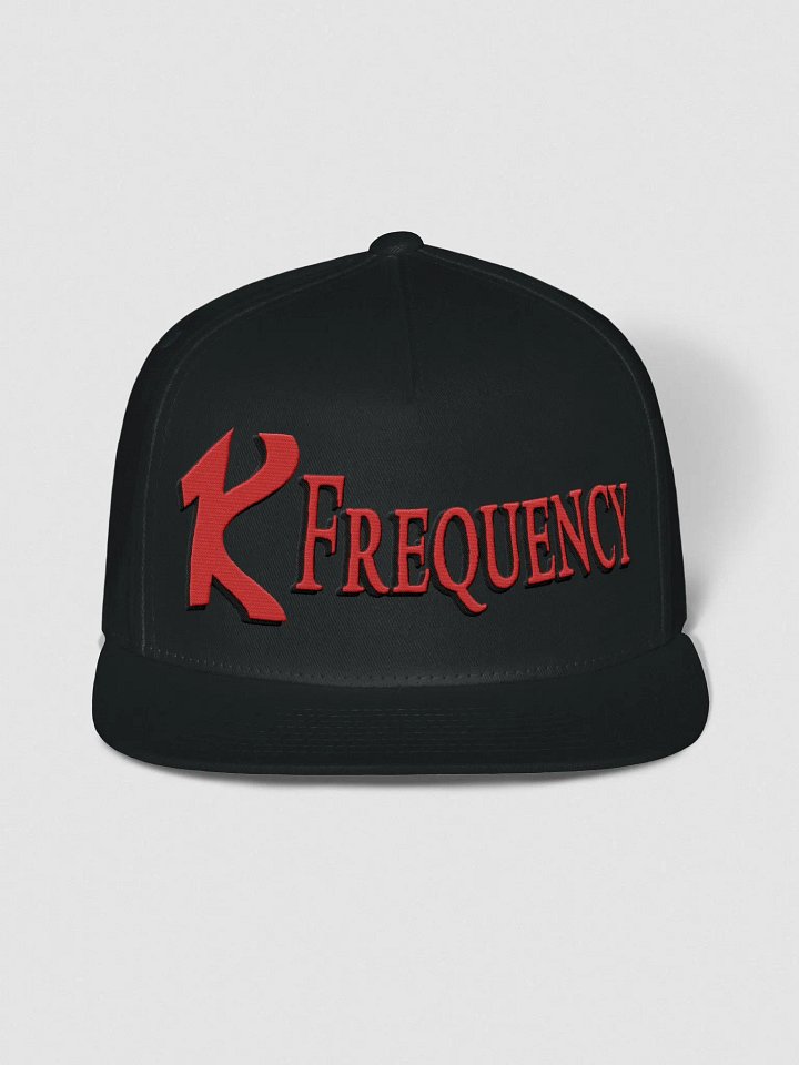 1K Frequency Snap Backs product image (1)