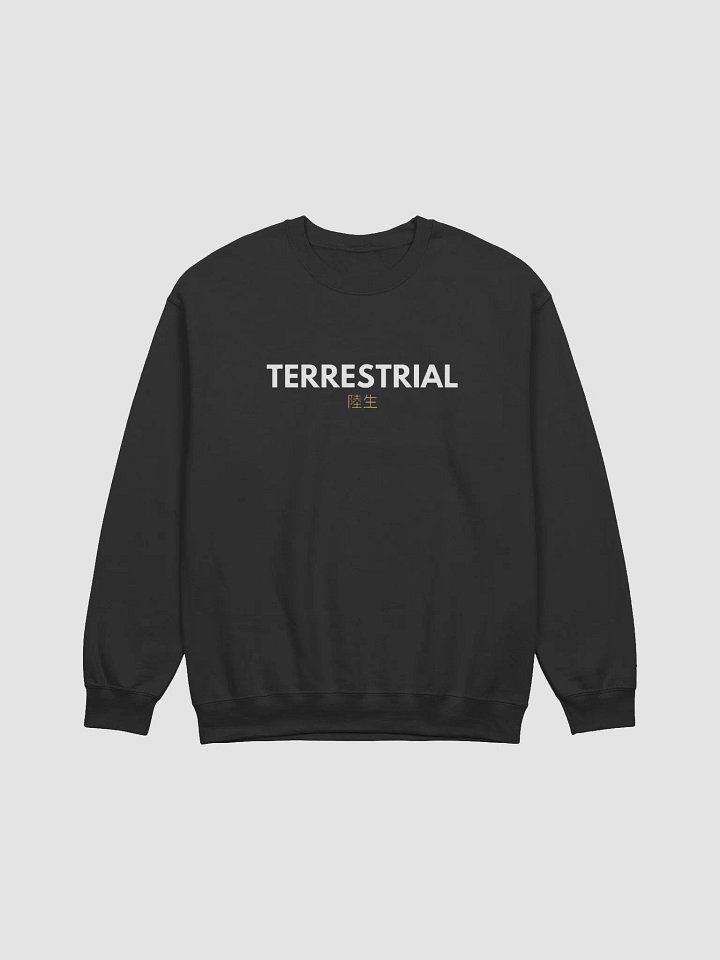 Terrestrial Logo Crewneck product image (1)