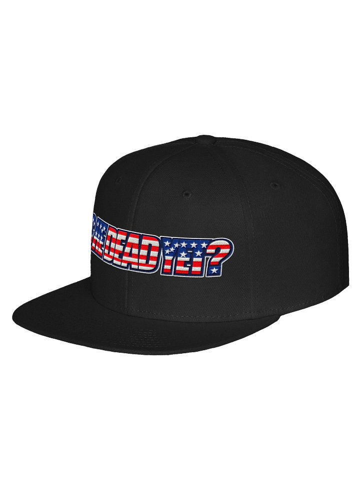 "Is He Dead Yet?" Flag Otto Wool-Blend Snapback product image (2)