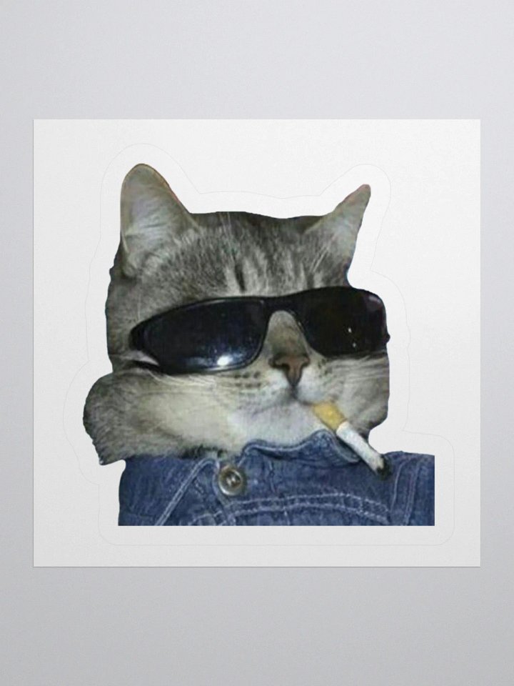 Cool Cat Sticker product image (2)