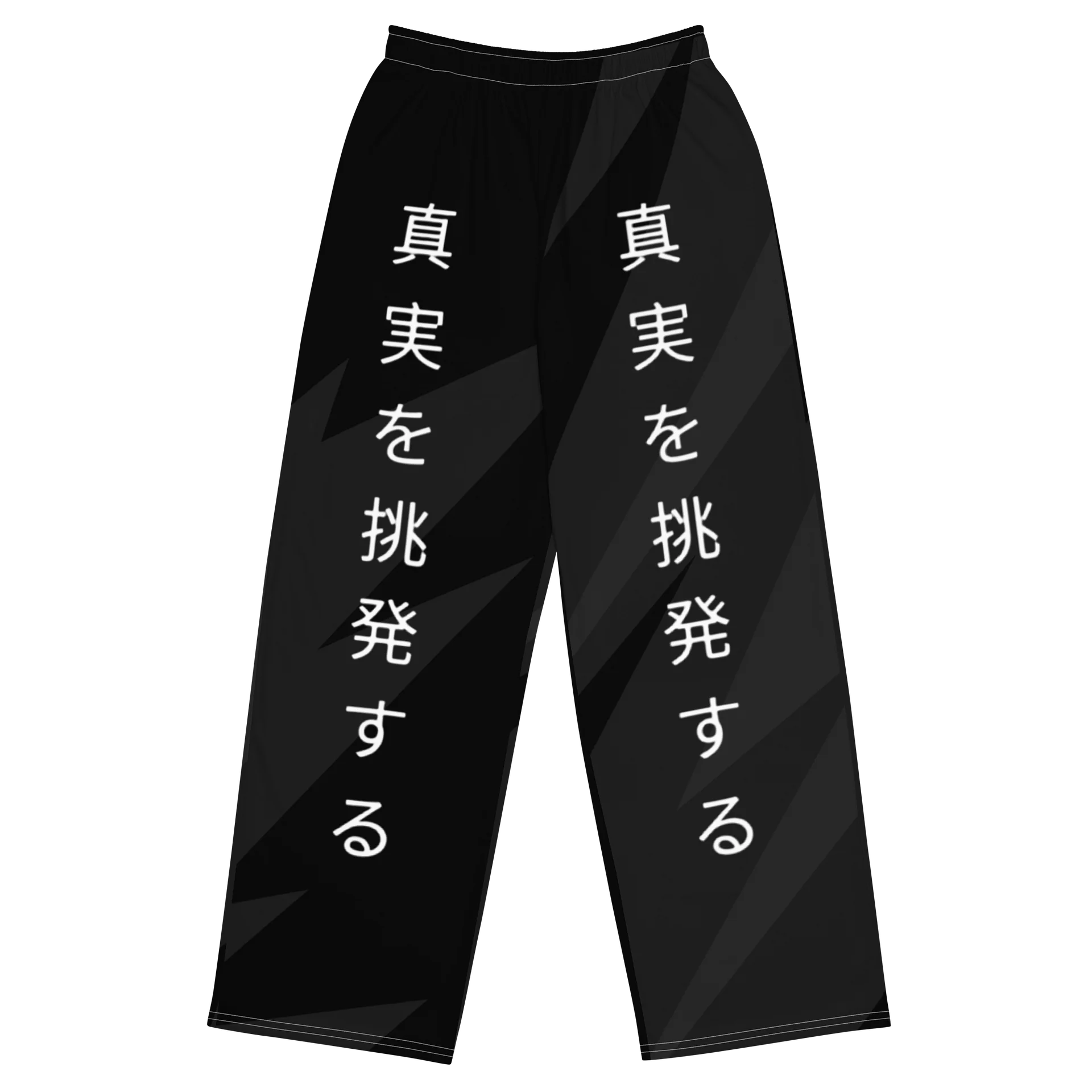 PTT Japanese Wide Leg Pants product image (1)