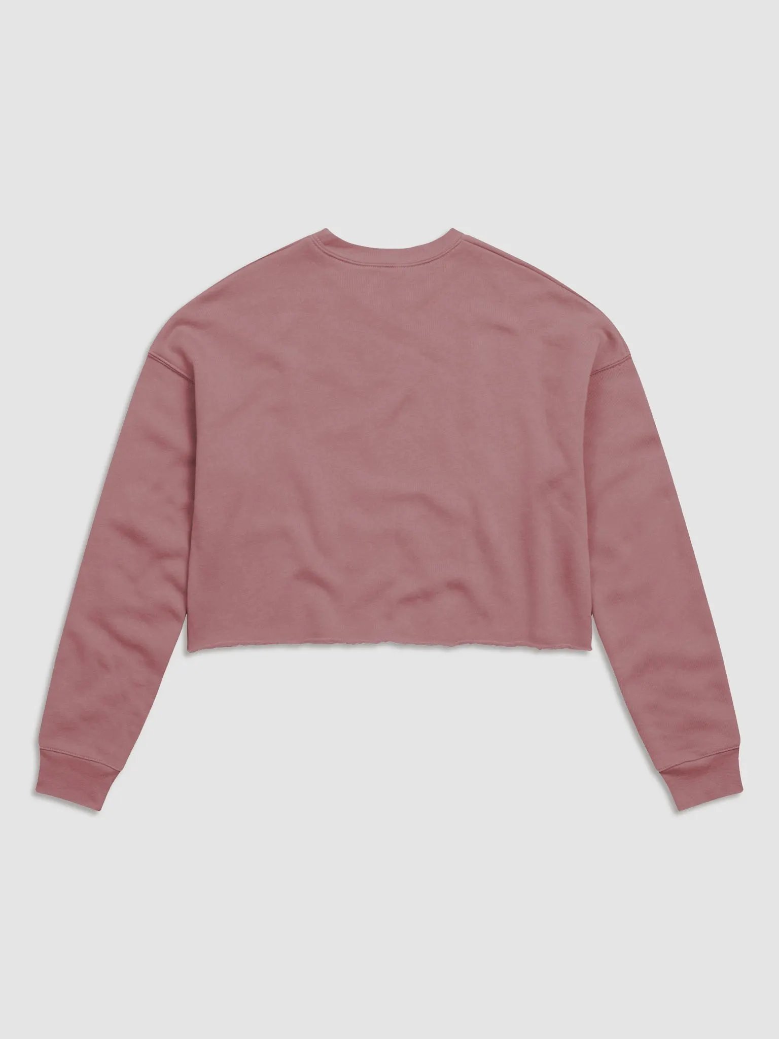 Rupees Crop Sweatshirt product image (6)