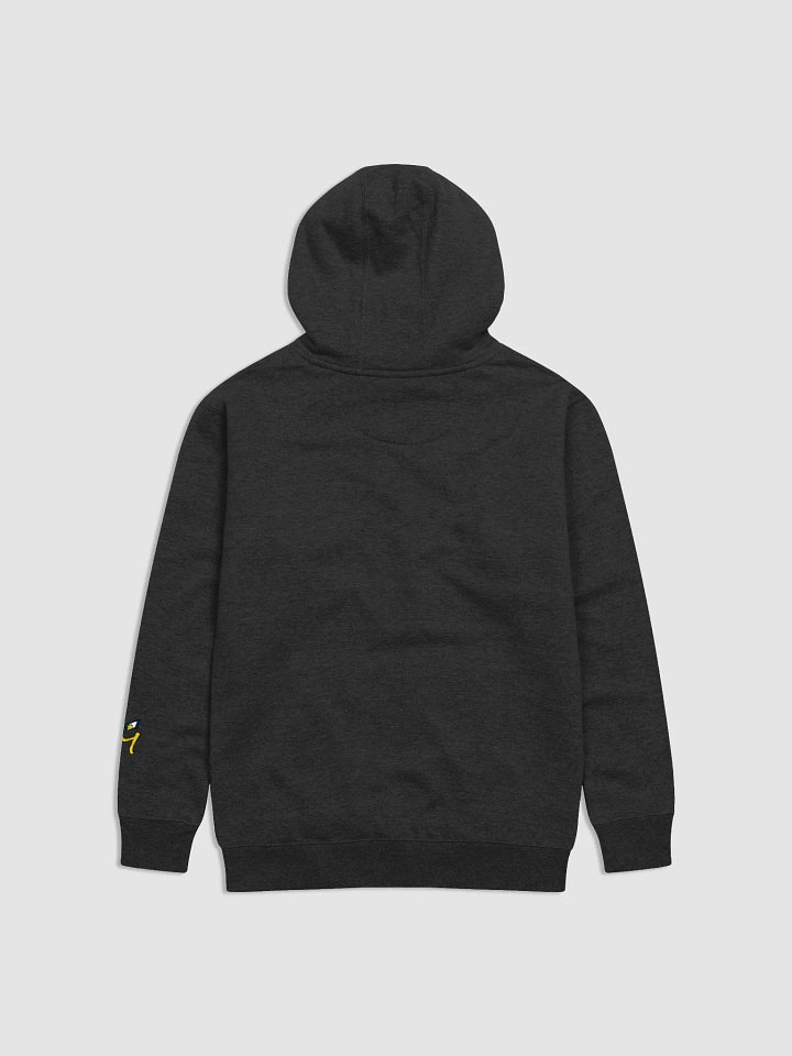 TGJ -YOUNG MASTER- Logo Hoodie product image (2)