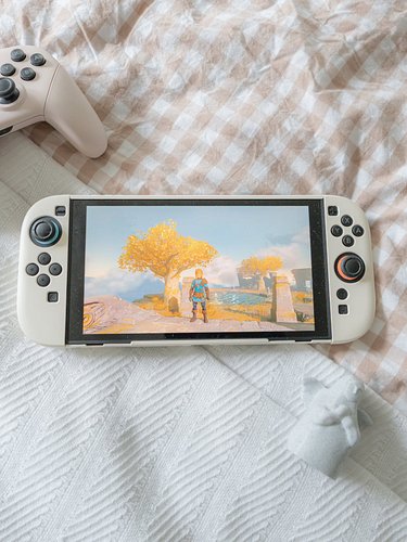 Cozy morning for some zelda ✨️🌱 
Happy triforce tuesday friends 🩷 

*Ollie decided he really wanted to take part in content d...