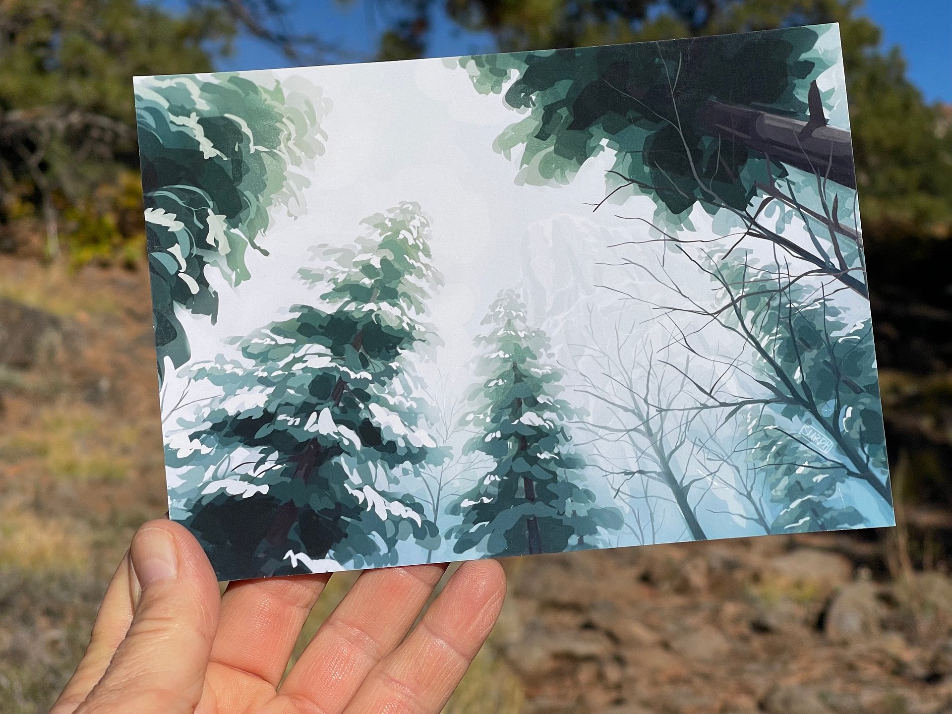 Snowy Treetops - 5x7 Print product image (3)