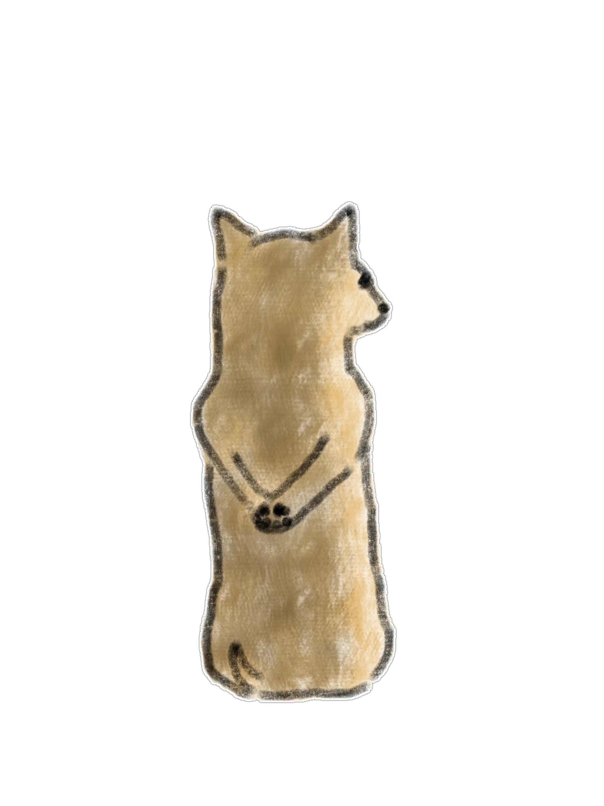 20 Dog Care & Daily Pet Routine PNG Clipart Bundle product image (8)