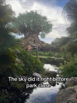 Last minute safari, rainbow over Everest, sun lowering behind the tree of life and moodiness in Pandora? Perfect end to the day at Animal Kingdom #wdw #animalkingdom #traveltok #fyp #waltdisneyworld 