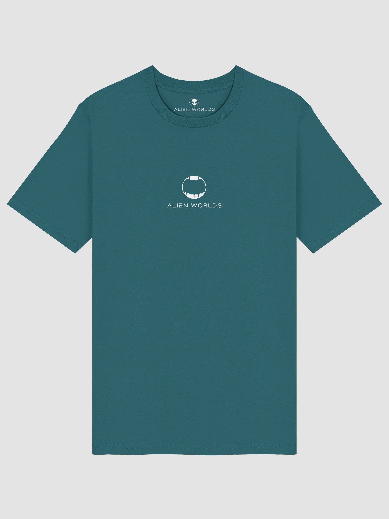 SHAME IS A TEE product image (1)