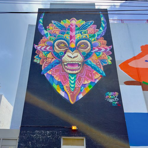 I’ve said it before, and I’ll say it again—it pays to look up sometimes. And down. And on Calle Cerra in San Juan, at the rus...